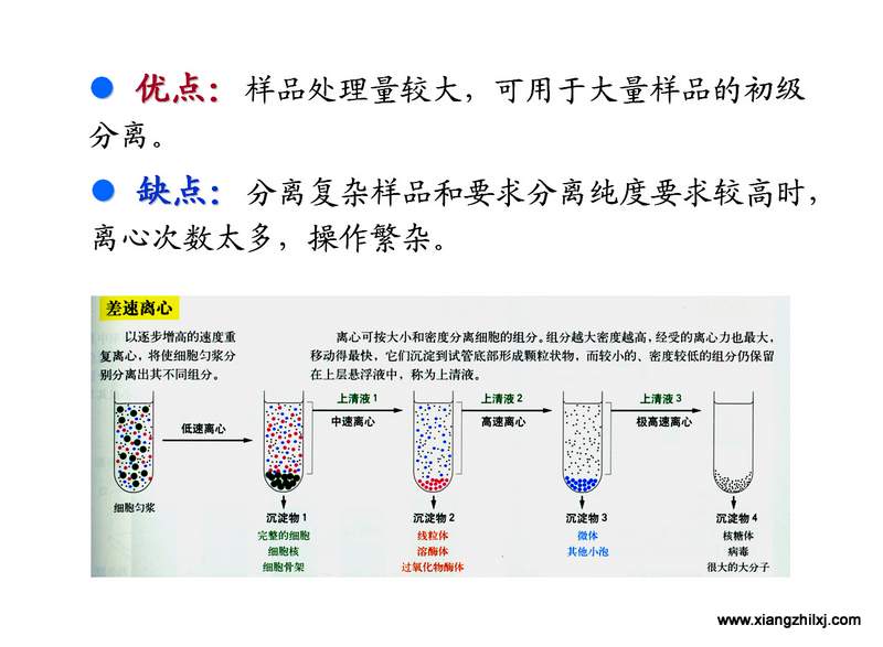 离心机知识图解大全