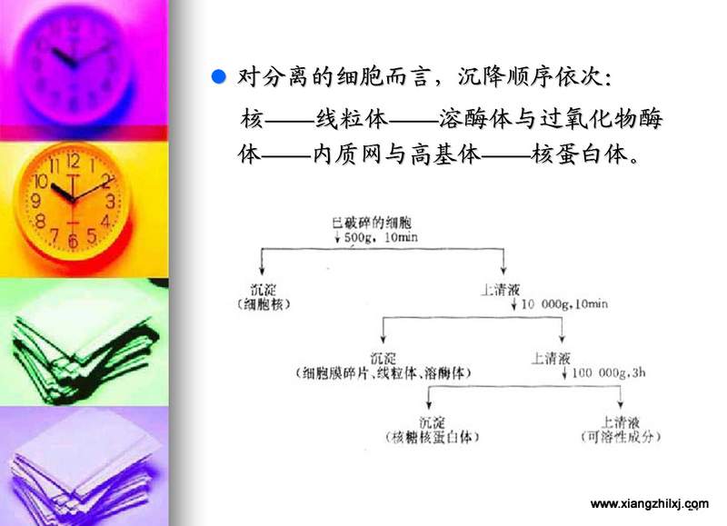 离心机知识图解大全