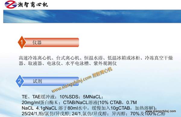 用高速离心机提取细菌DNA的课件